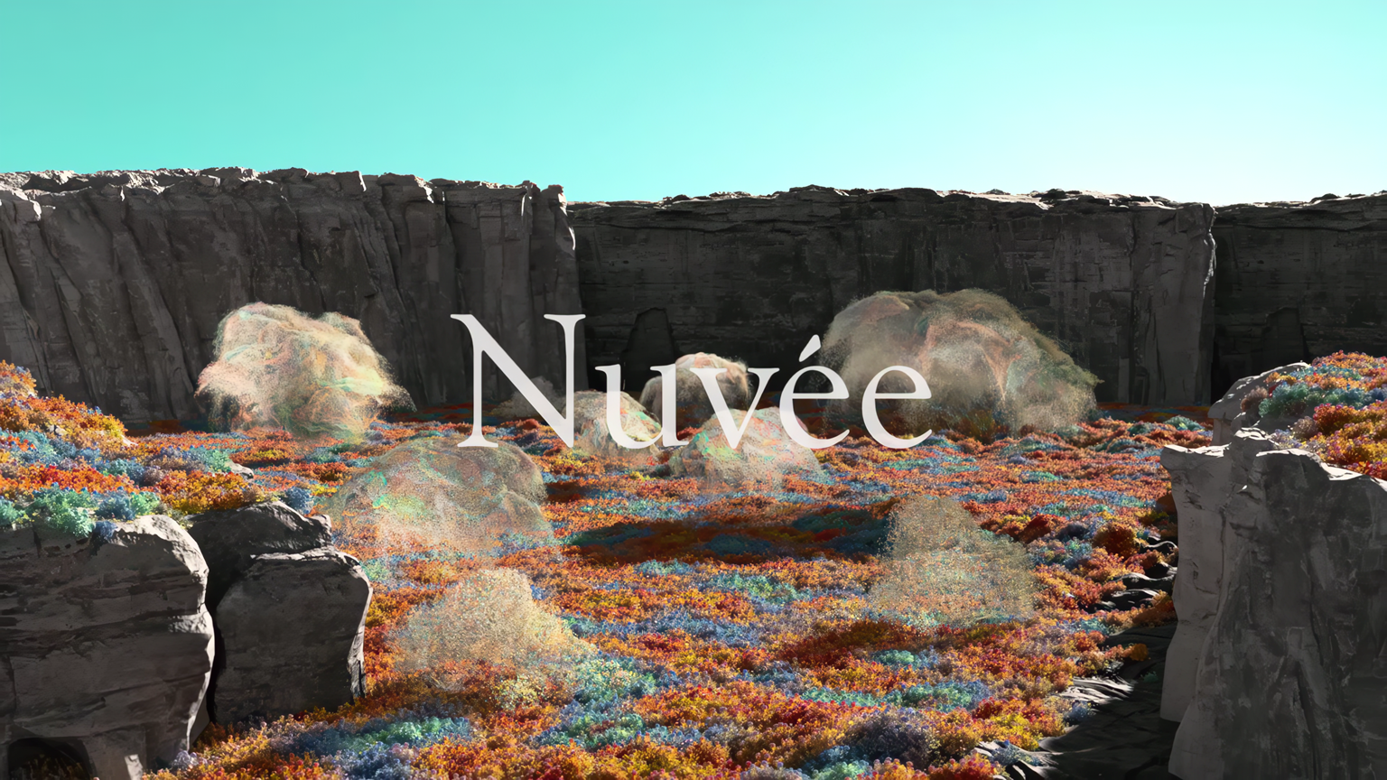 Nuvee